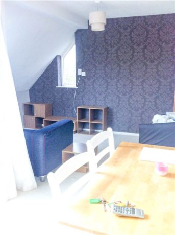 1 Bedroom Apartment
